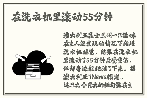 张津瑜搜狐